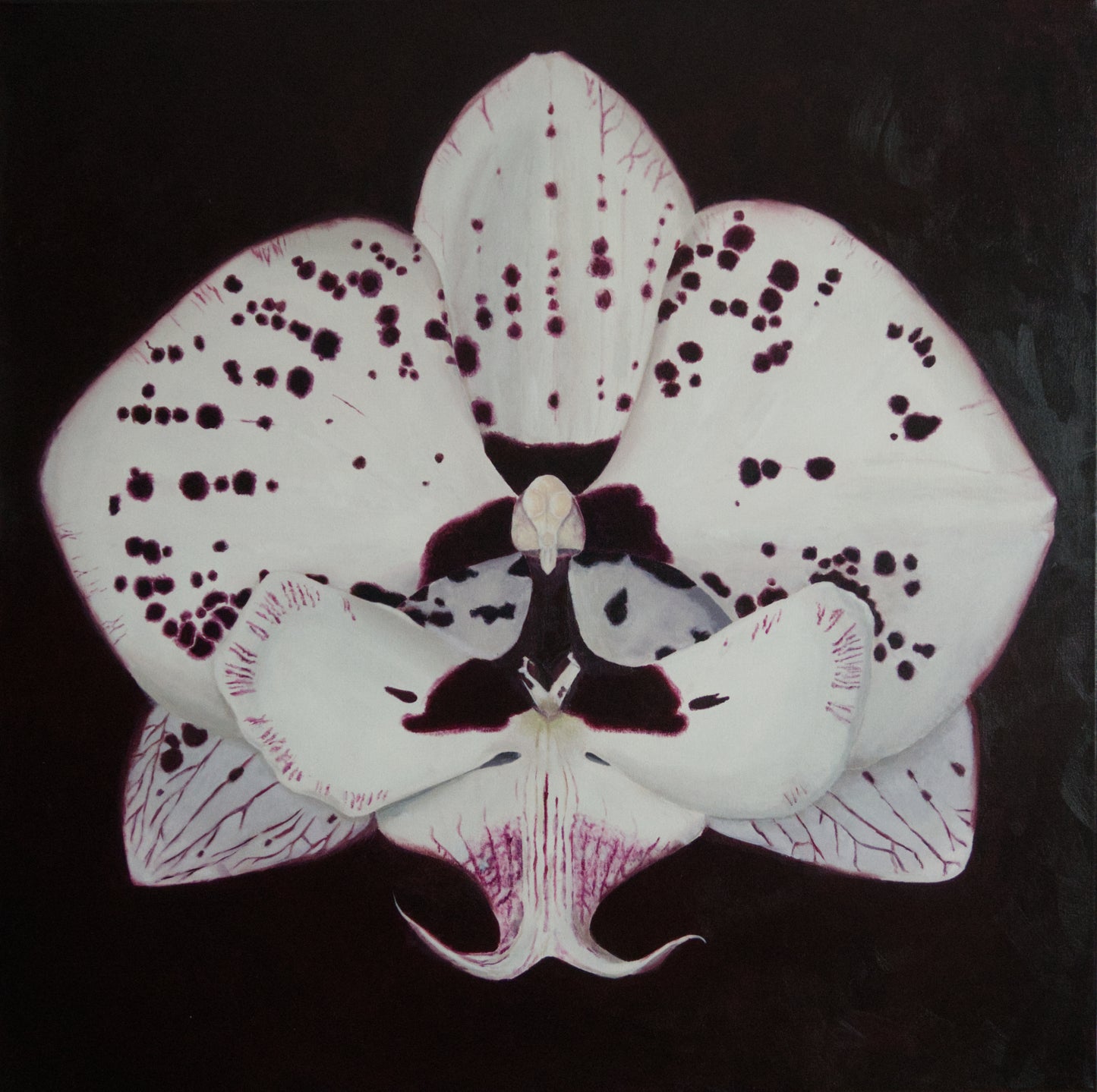 Do You See Me Now? II – Orchid Oil Painting