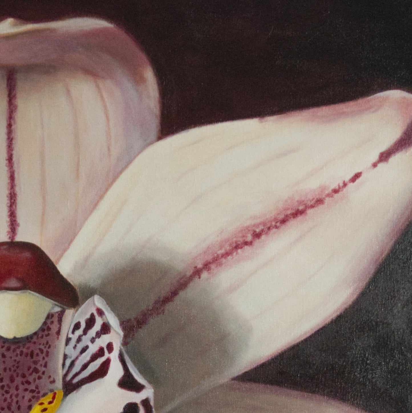 Do You See Me Now? I – Orchid Oil Painting