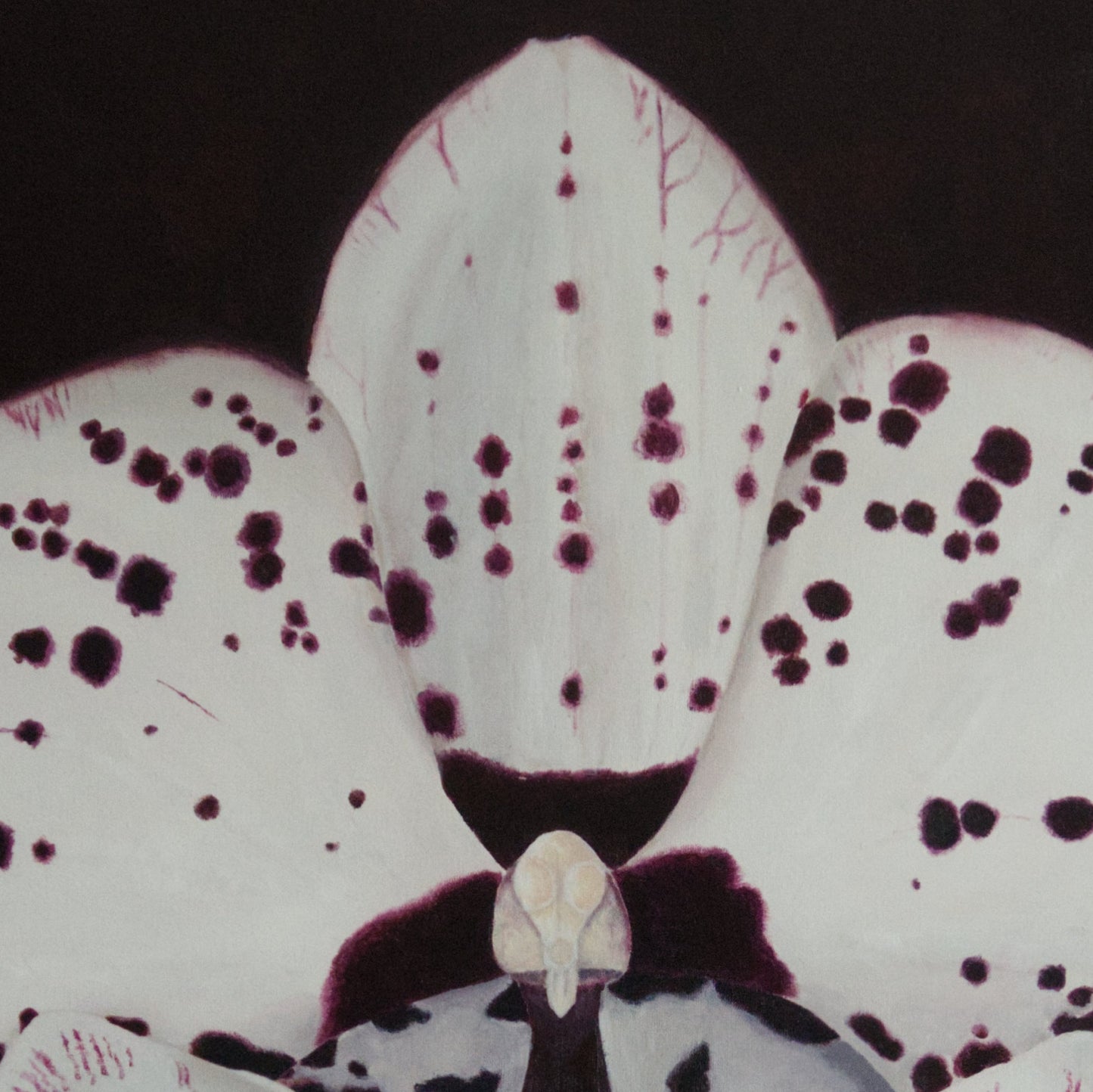 Do You See Me Now? II – Orchid Oil Painting