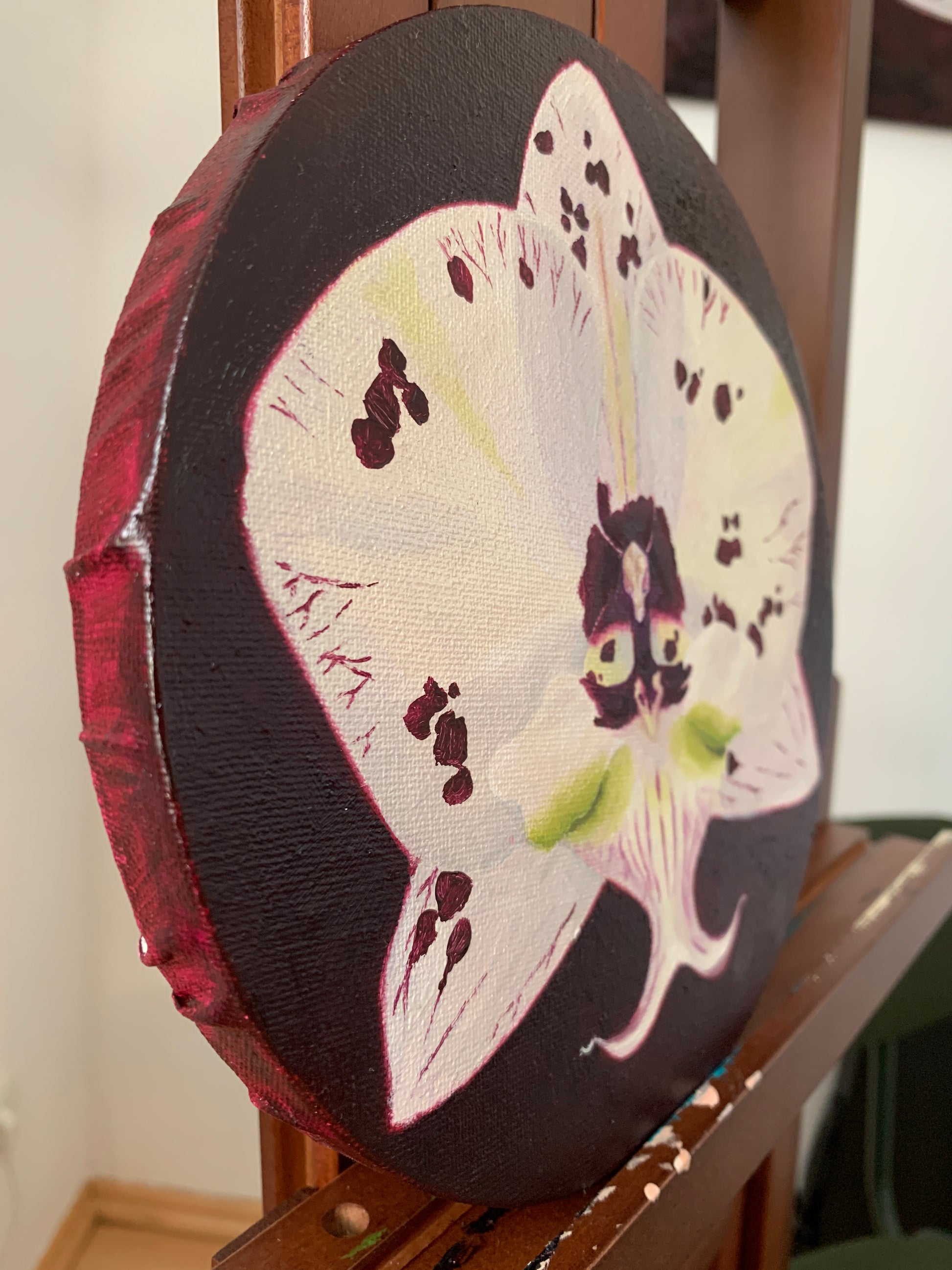 Orchid oil painting on round canvas showcasing a white orchid with burgundy spots against a dark background.