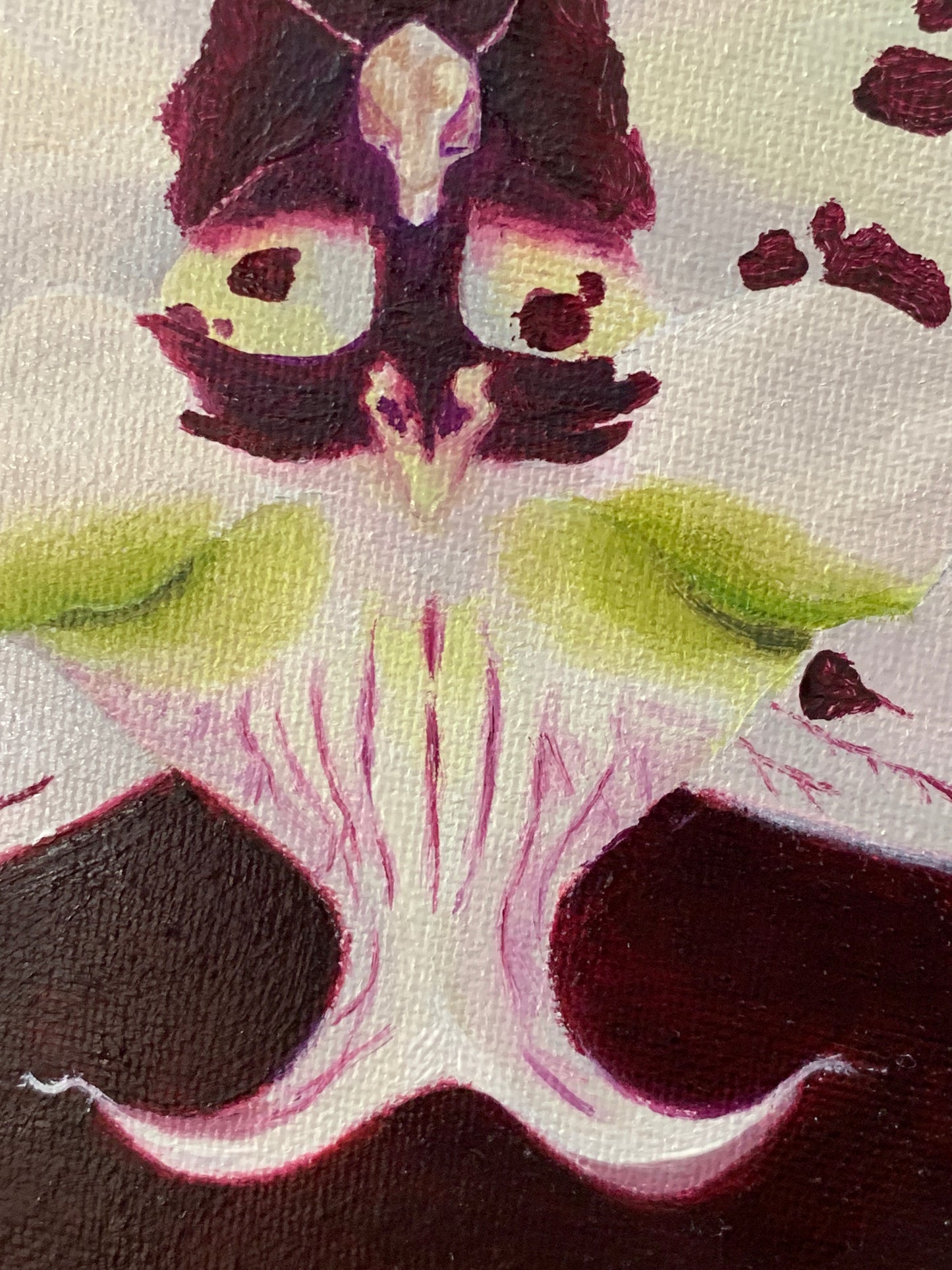 Close up of Orchid oil painting on round canvas showcasing a white orchid with burgundy spots against a dark background.